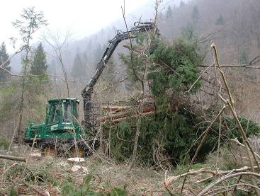 felling residuals extraction