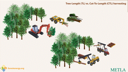 cut-to-length vs tree-length