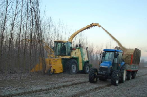 SRC harvesting