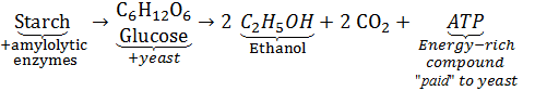 a2_fermentable sludge